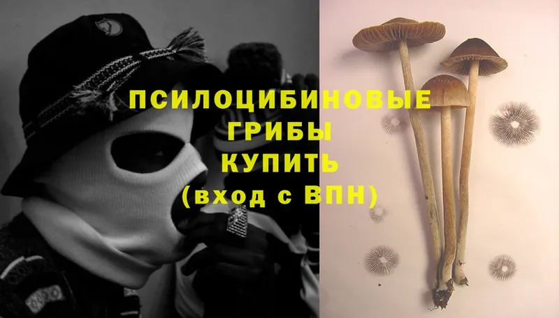 Галлюциногенные грибы Cubensis Мегион